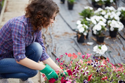 Healthy lawn care in Bickley with neat green grass