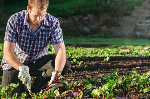 Gardener carrying out a safe site check before garden work