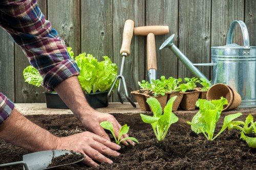 Illustration representing essential cookies on the Gardeners Bickley website
