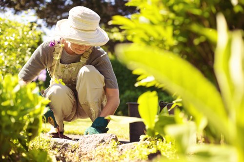 Watering and feeding grass for lawn care in Bickley