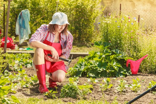 Garden maintenance in Bickley with tidy lawn and trimmed hedges