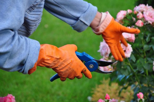Gardeners Bickley pruning shrubs in a local garden