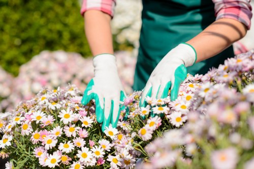 Reviewing a gardeners complaint with clear documentation