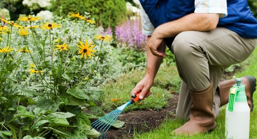 Professional gardeners in Bickley caring for a landscaped lawn