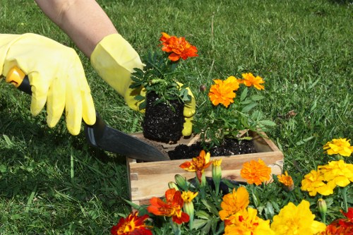 Commercial gardening services in Bickley keeping grounds neat