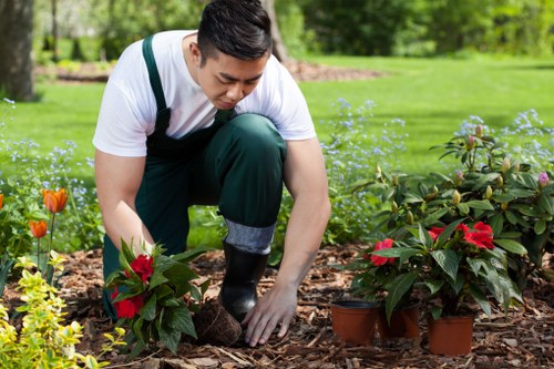 Local garden care in Bickley focused on healthy, well-kept outdoor spaces