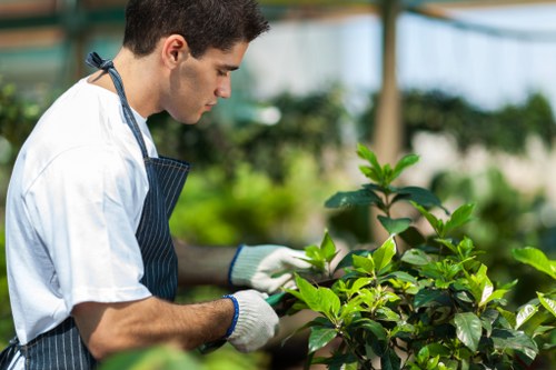 Free garden quote policy for Gardeners Bickley