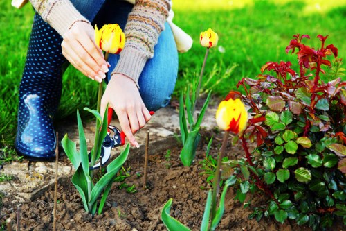 Seasonal planting and garden design for landscape gardening in Bickley