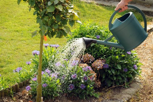 Seasonal garden maintenance in Bickley with border care and pruning