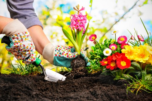 Bickley garden maintenance with lawns, borders, and seasonal planting