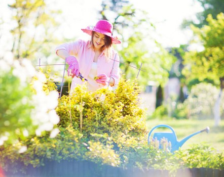 Professional fence installation service in Bickley