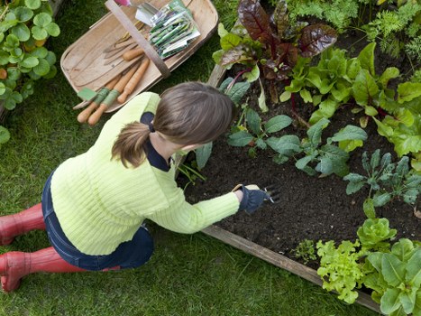 Example garden clearance and maintenance jobs in Bickley