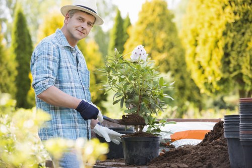 Professional garden tidying in a Bickley property