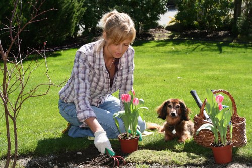 Public liability insurance and safe gardening practices in Bickley