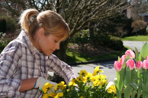 Final resolution stage in a garden maintenance complaints process