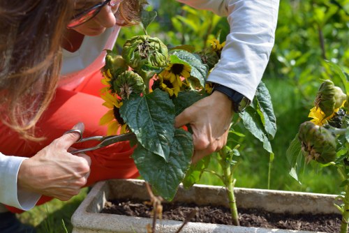 Recycling and sustainability practices for Gardeners Bickley