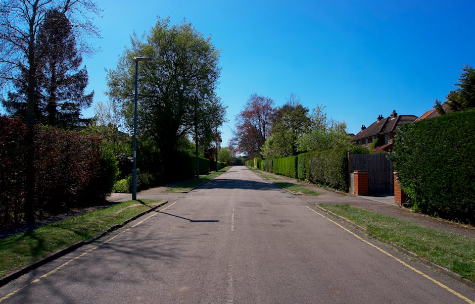 A quiet residential street in Bickley with well-maintained gardens and hedges lining both sides of the asphalt road. The scene features neatly trimmed green hedges and tall trees creating a canopy ove