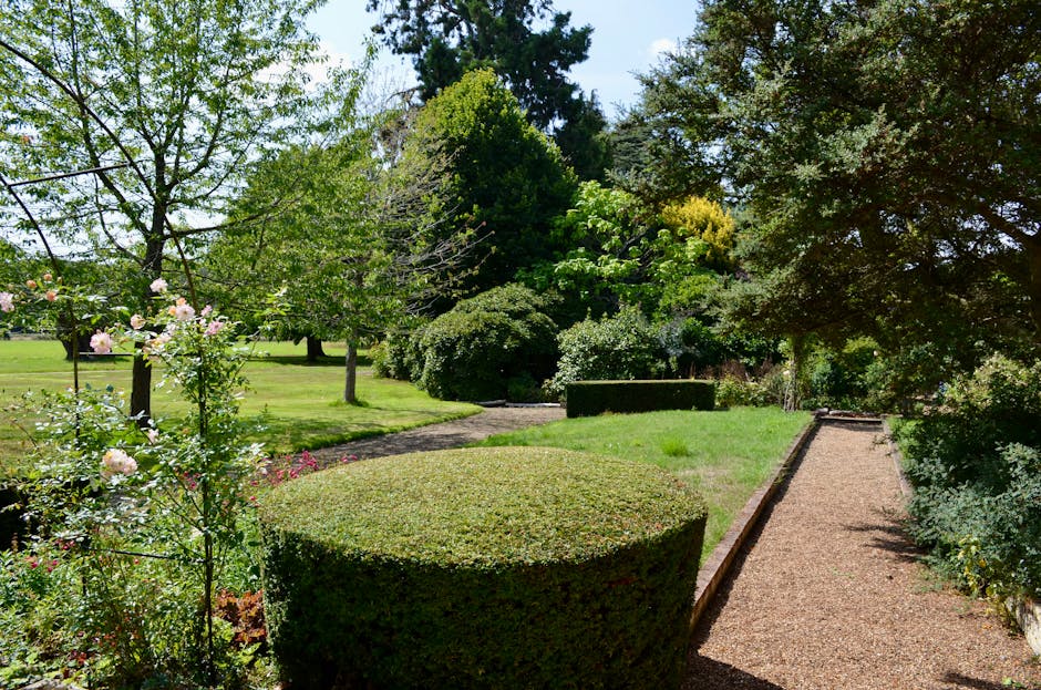 A quiet residential street in Bickley with well-maintained gardens and hedges lining both sides of the asphalt road. The scene features neatly trimmed green hedges and tall trees creating a canopy ove