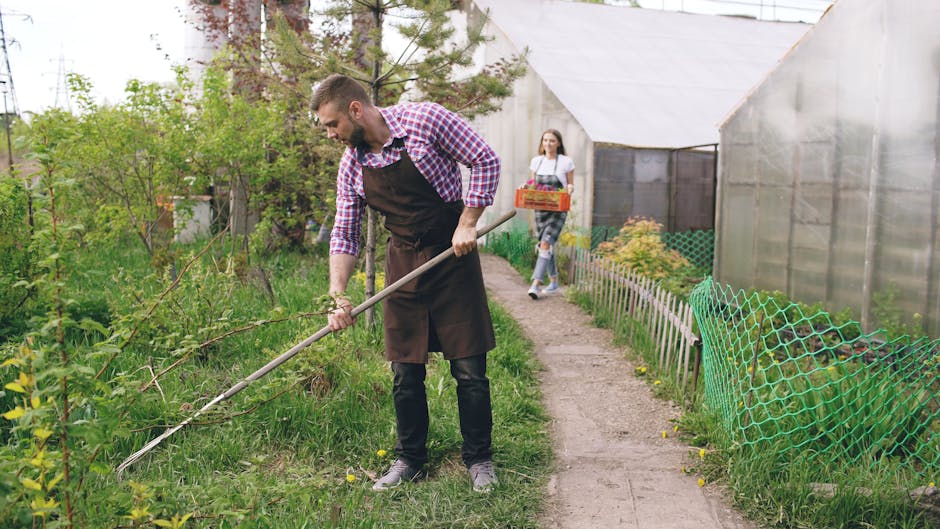 A man wearing a red and white checkered shirt and a dark apron is carefully trimming overgrown bushes along a garden pathway with a long-handled garden shears. The garden features lush green grass, a